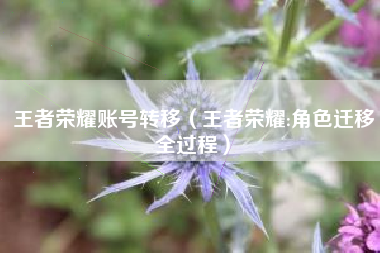 王者荣耀账号转移（王者荣耀:角色迁移全过程）