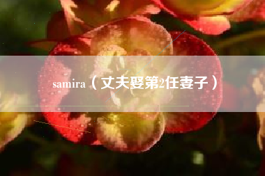 samira（丈夫娶第2任妻子）