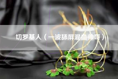 切罗基人（一波舔屏混血帅哥）