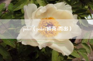 poke（poke(破壳)而出）