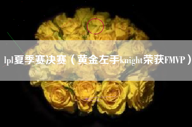 lpl夏季赛决赛（黄金左手knight荣获FMVP）