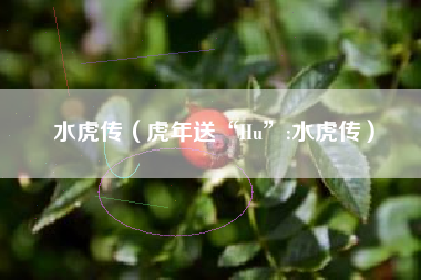 水虎传（虎年送“Hu”:水虎传）