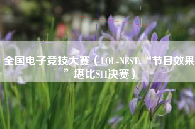 全国电子竞技大赛（LOL-NEST:“节目效果”堪比S11决赛）