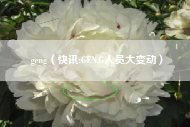 geng（快讯:GEN.G人员大变动）