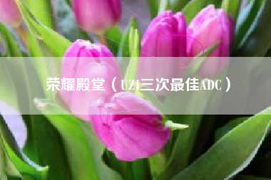 荣耀殿堂（UZI三次最佳ADC）