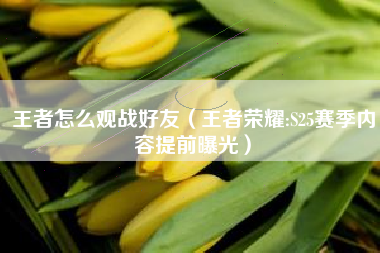 王者怎么观战好友（王者荣耀:S25赛季内容提前曝光）