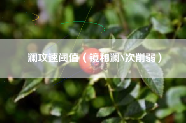 澜攻速阈值（镜和澜N次削弱）