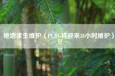 绝地求生维护（PUBG将迎来38小时维护）