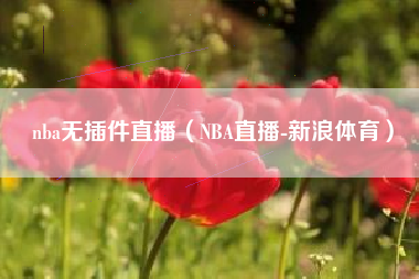 nba无插件直播（NBA直播-新浪体育）