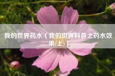 我的世界药水（我的世界科普之药水效果(上)）