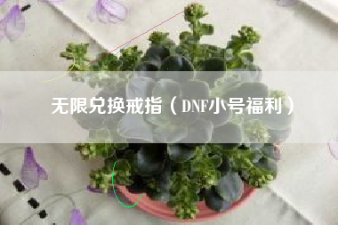 无限兑换戒指（DNF小号福利）