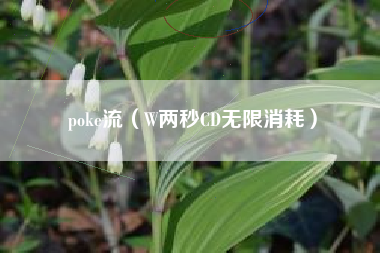 poke流（W两秒CD无限消耗）