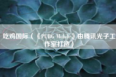 吃鸡国际（《PUBG Mobile》由腾讯光子工作室打造）