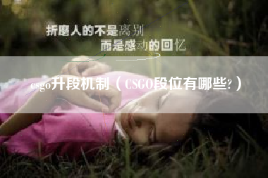 csgo升段机制（CSGO段位有哪些?）