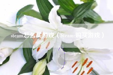 steam怎么买游戏（Steam:购买游戏）