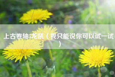 上古卷轴5龙吼（我只能说你可以试一试）