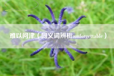 难以问津（同义词辨析:unforgettable）