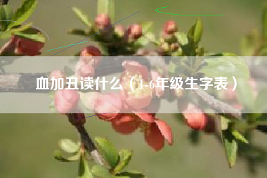 血加丑读什么（1-6年级生字表）