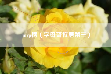 mvp榜（字母哥位居第三）