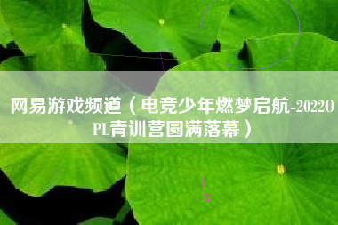 网易游戏频道（电竞少年燃梦启航-2022OPL青训营圆满落幕）