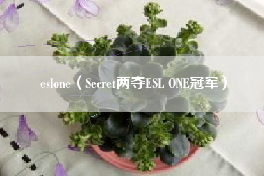 eslone（Secret两夺ESL ONE冠军）