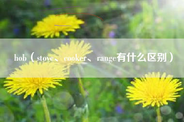 hob（stove、cooker、range有什么区别）