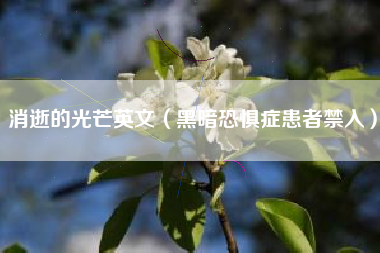 消逝的光芒英文（黑暗恐惧症患者禁入）