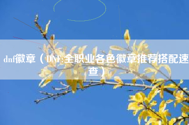 dnf徽章（DNF:全职业各色徽章推荐搭配速查）