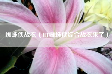 蜘蛛侠战衣（HT蜘蛛侠综合战衣来了）