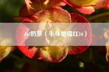 dnf奶萝（半身增幅红16）