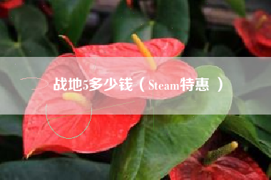 战地5多少钱（Steam特惠 ）