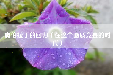 奥伯拉丁的回归（在这个画质竞赛的时代）