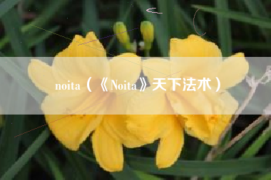 noita（《Noita》天下法术）