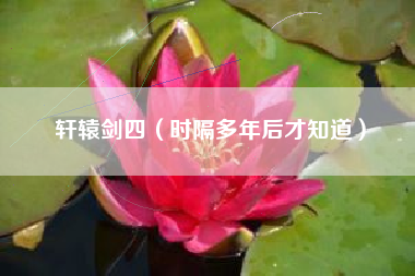 轩辕剑四（时隔多年后才知道）