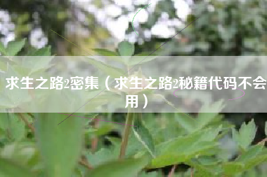 求生之路2密集（求生之路2秘籍代码不会用）