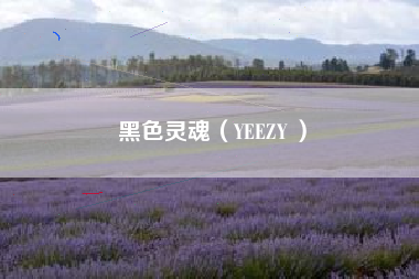 黑色灵魂（YEEZY ）