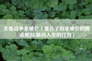 全面战争拿破仑（鬼谷子和拿破仑的观点相似:驱动人类的行为）