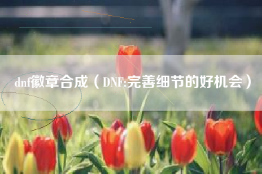 dnf徽章合成（DNF:完善细节的好机会）