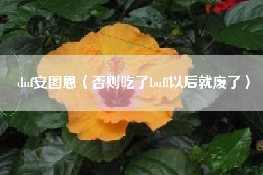 dnf安图恩（否则吃了buff以后就废了）