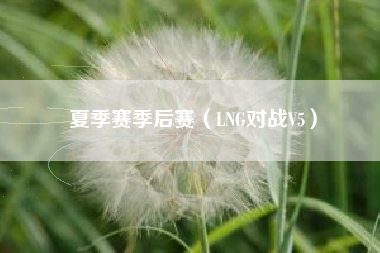 夏季赛季后赛（LNG对战V5）