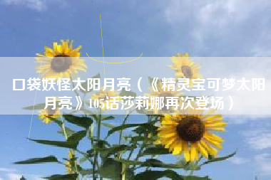 口袋妖怪太阳月亮（《精灵宝可梦太阳月亮》105话莎莉娜再次登场）