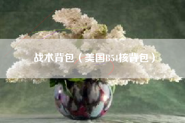 战术背包（美国B54核背包）