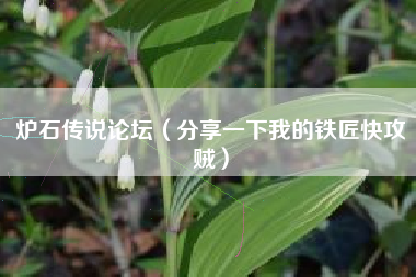 炉石传说论坛（分享一下我的铁匠快攻贼）