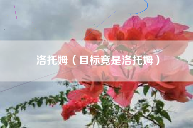 洛托姆（目标竟是洛托姆）