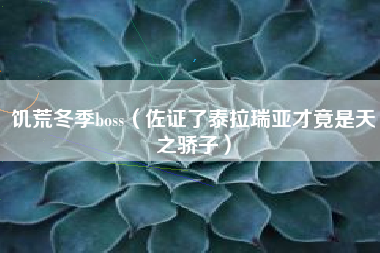 饥荒冬季boss（佐证了泰拉瑞亚才竟是天之骄子）