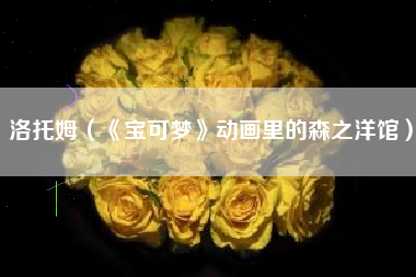 洛托姆（《宝可梦》动画里的森之洋馆）