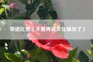 奇诺比奥（不要再说文化输出了）