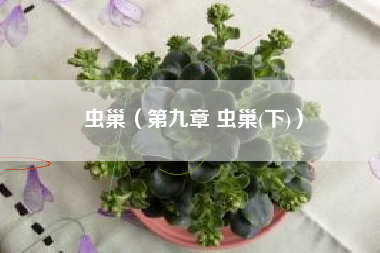 虫巢（第九章 虫巢(下)）