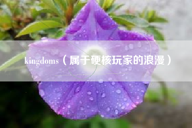 kingdoms（属于硬核玩家的浪漫）