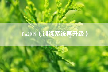 fm2019（训练系统再升级）